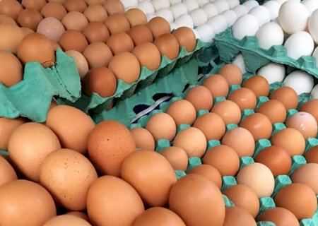 Ovos de granja com caso de gripe aviária estão rastreados, diz Mapa
