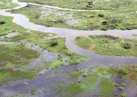 Boletim diário aponta que rios do norte do estado de MS estão em estado de alerta para cheias