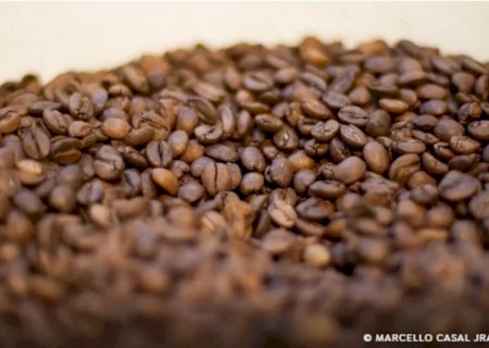 Governo reprova três marcas de café por serem impróprias para consumo