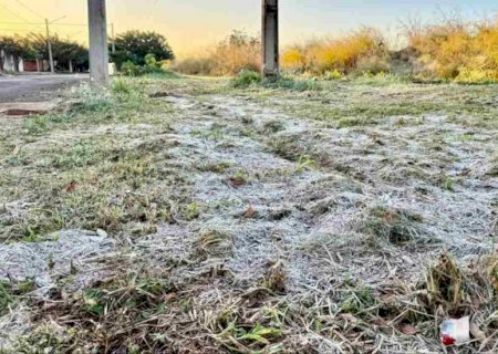 Com frio de 1°C, vegetação congela na primeira geada do ano em Rio Brilhante