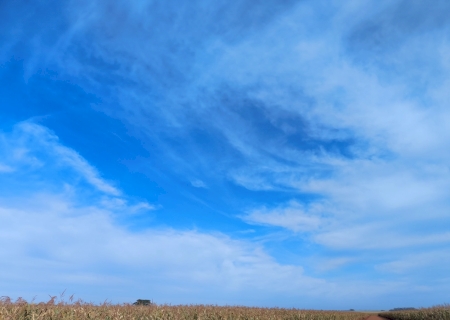 LISTA: Frio intenso persiste em Mato Grosso do Sul e madrugada registra 5°C