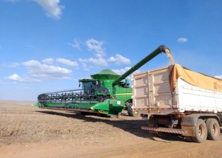 Apesar da seca, MS registra aumento de 5% na produtividade da soja