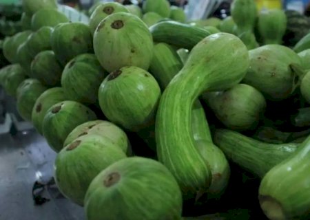 Frio dispara pre&ccedil;o de hortali&ccedil;as em MS com aumento de at&eacute; R$ 20