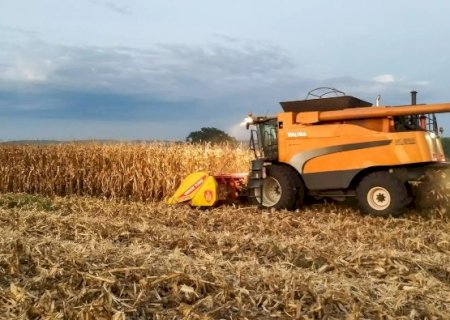 Após retração em 2024, PIB do Agro em MS deve bater recorde, com alta de 13,5%