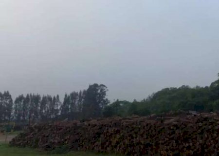 Ponta Por&atilde; amanhece coberta por neblina e term&ocirc;metros marcam 9 &deg;C