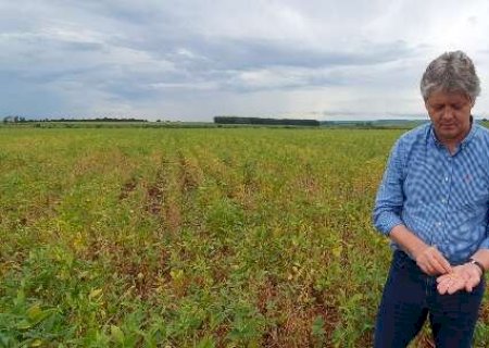 Produtores de soja e milho ter&atilde;o certifica&ccedil;&atilde;o de pr&aacute;ticas sustent&aacute;veis