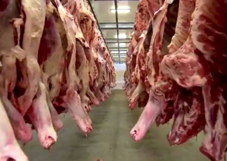 Chile e Egito entram na mira como alternativas para carne bovina