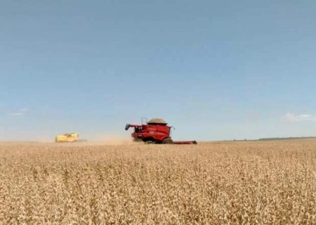 Setor produtivo v&ecirc; "f&ocirc;lego" em projeto de lei para negocia&ccedil;&atilde;o de d&iacute;vidas