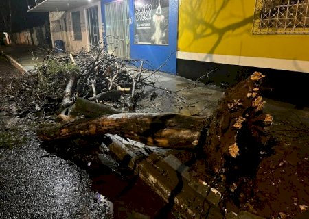 Ventania e chuva atingem sul de MS ap&oacute;s um m&ecirc;s de estiagem