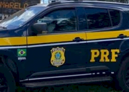 PRF apreende em Ivinhema caminhão com 33 cavalos sob maus tratos que iriam para Tacuru
