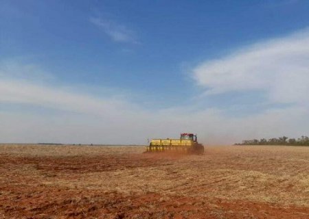 Plantio da soja começa em setembro sob previsão de calor acima da média em MS