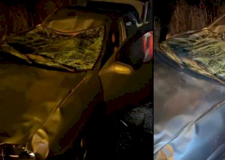 Boi invade pista, provoca acidente e deixa dois feridos em Deodápolis (vídeo)
