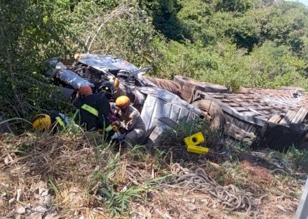 VÍDEO: Caminhoneiro fica ferido após tombar carreta carregada de gado em Miranda