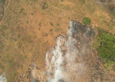 Queimadas caem 98% no Pantanal e 75% no Cerrado em MS