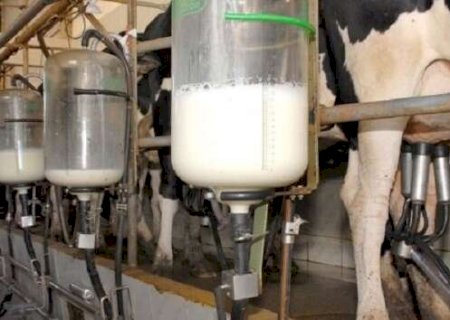 Latic&iacute;nios cobram apoio, alegando risco de colapso no abastecimento em MS