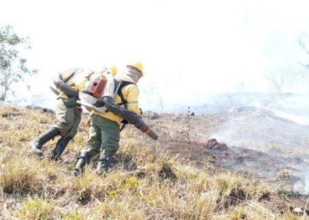 Serra da Bodoquena: fogo resiste em áreas onde nem brigadistas conseguem chegar