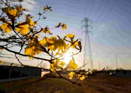 Tempo seco coloca cidades de MS em emergência com baixa umidade do ar