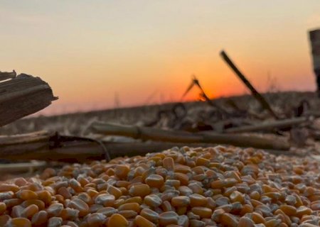 Soja e milho puxam crescimento do campo e elevam produção em MS