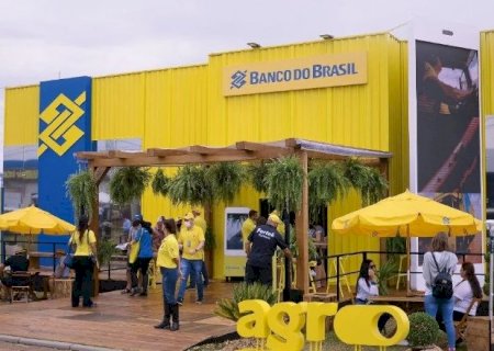 BB libera R$ 13,7 bi ao agro de MS em meio a d&iacute;vidas e pedidos judiciais