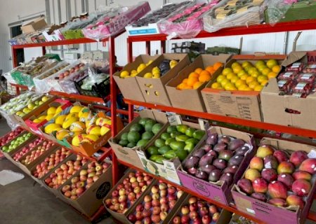 Frutas, verduras e sucesso: a Ceasa de MS que impulsiona negócios em todo o Estado