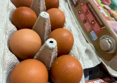 No Dia Mundial do Ovo, MS celebra produ&ccedil;&atilde;o de 2,3 mil toneladas