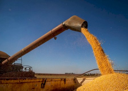 MS tem quatro municípios no ‘top 20’ do agronegócio nacional, aponta estudo