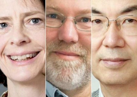 Nobel de Medicina 2025 vai para cientistas que revolucionaram o estudo do sistema imunológico