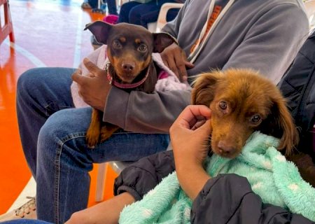 Caravana da Castração: 2ª etapa atende 9,6 mil animais e avança para Grande Dourados e Cone Sul