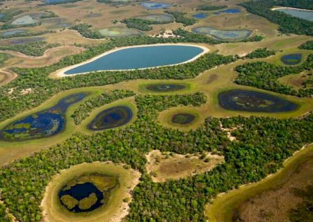 Programa que paga por preservação do Pantanal tem 59 selecionados