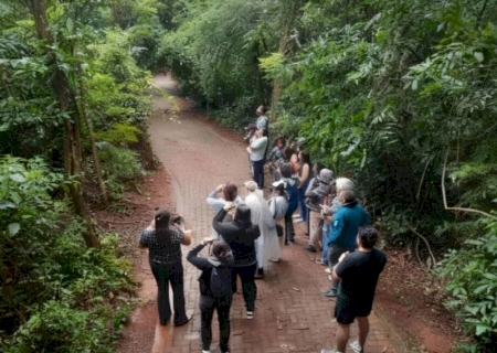 Mato Grosso do Sul se destaca no maior evento mundial de observação de aves
