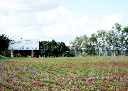 Estiagem severa atinge MS e La Ni&ntilde;a deve agravar cen&aacute;rio at&eacute; dezembro