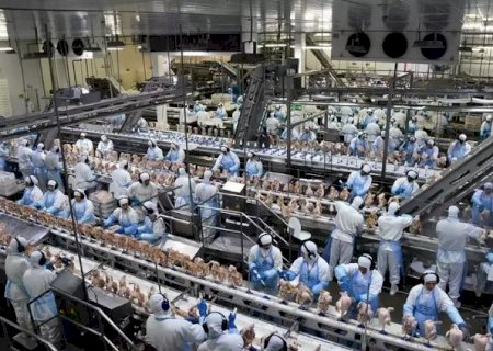 Empresas de MS com incentivos terão de destinar até 1% do IR a fundos sociais