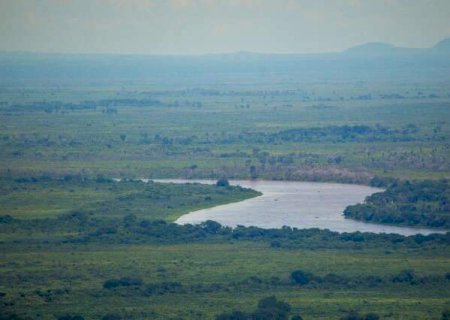 Pantanal de MS perdeu 4,3 milhões de hectares de vegetação