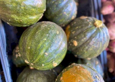Ab&oacute;bora caboti&aacute; e pepino comum lideram quedas de pre&ccedil;os na Ceasa-MS nesta semana