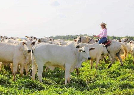 Agroneg&oacute;cio de MS deve alcan&ccedil;ar R$ 76,3 bilh&otilde;es em 2025 com alta de 23%