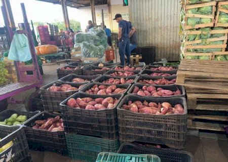 Pre&ccedil;os da alface e da batata-doce recuam, enquanto berinjela puxa alta na Ceasa
