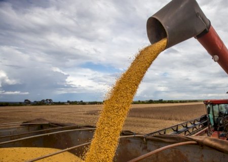 Pre&ccedil;o da soja sobe 1,67%, mas venda continua bem abaixo do ano passado