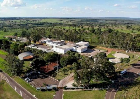 Segundo frigor&iacute;fico fecha as portas em MS em menos de uma semana