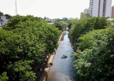 Modelo de florestas urbanas de Campo Grande ser&aacute; apresentado na COP30