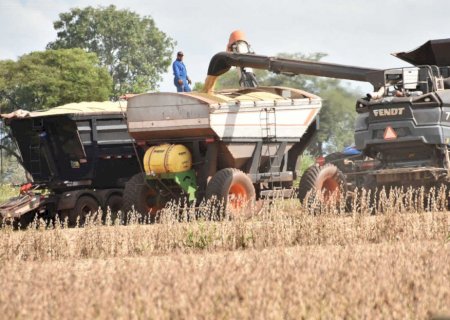 Inadimplência dos produtores rurais dispara em MS e dívidas ficam mais caras