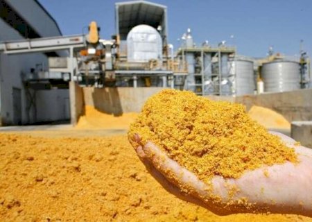 MS começa a exportar derivados do etanol de milho e sorgo para a China