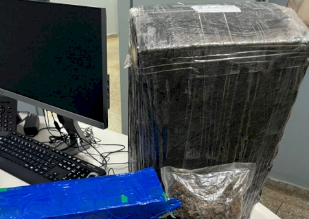 Polícia Civil descobre entreposto de drogas em Fátima do Sul e apreende mais de 33 quilos de maconha