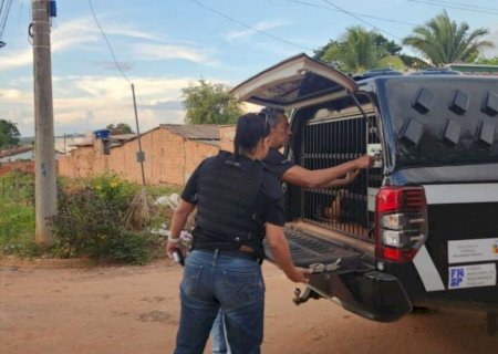 Pai é preso após amarrar e ameaçar filho adolescente em MS