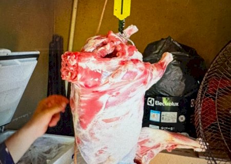 Homem é preso por furto de carneiros em fazenda em Anaurilândia