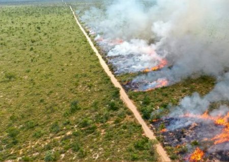 Ap&oacute;s arder em fogo em 2024, MS registra ano com menor foco de calor da hist&oacute;ria