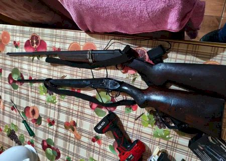 Homem é preso em Anaurilândia por violência doméstica, posse ilegal de armas e crime ambiental