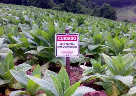 Anvisa cria página que detalha como avalia risco de agrotóxicos à saúde