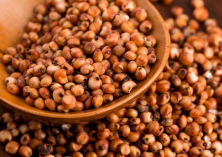 Brasil amplia acesso a mercados nos Emirados Árabes Unidos, Gana e Peru