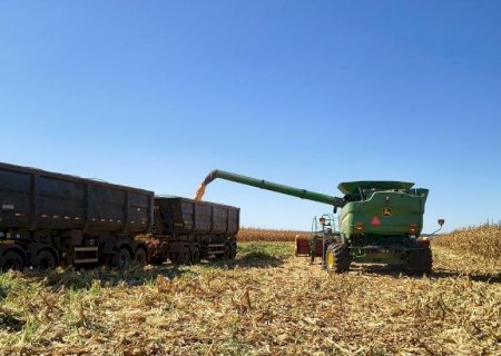 Valor Bruto da Produção cresce 26% em Mato Grosso do Sul
