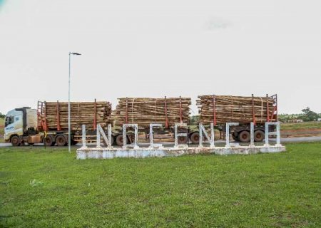 Arauco repassar&aacute; R$ 1,7 milh&atilde;o por impactos em investimento de R$ 344 milh&otilde;es